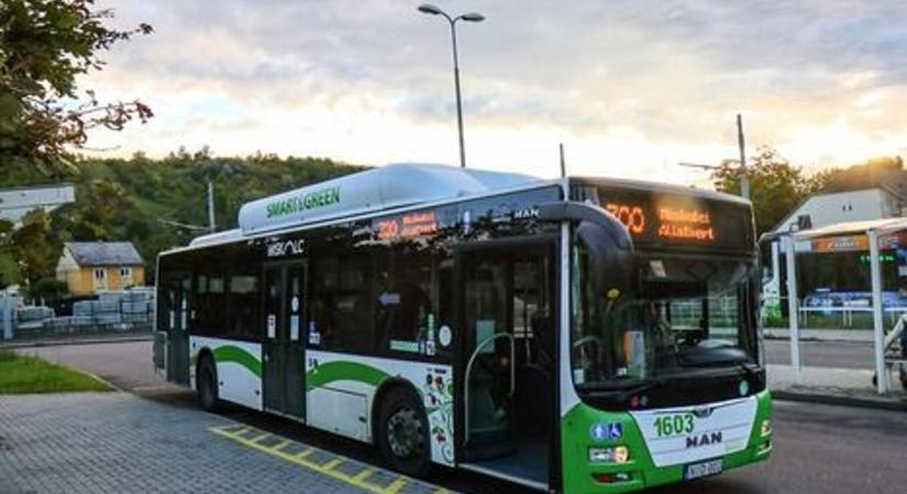 Ismét indulnak a ZOO járatok Miskolcon