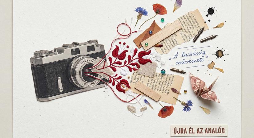 “Nagymama-hobbik” reneszánsza: hímzőtűből biznisz 30 alatt