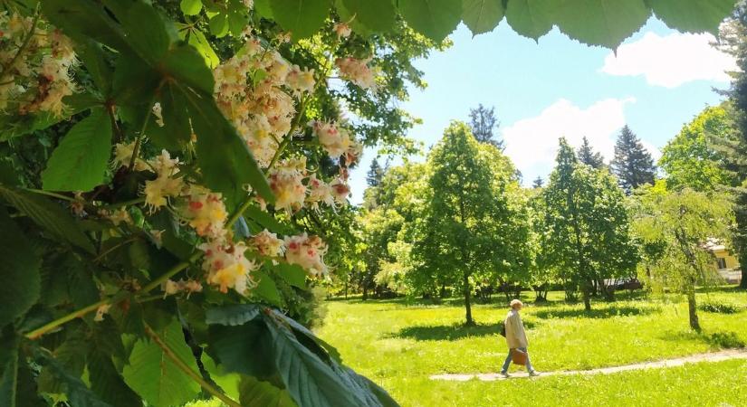 Már nem kell sokat várnunk rá, hogy ledobjuk a kabátot