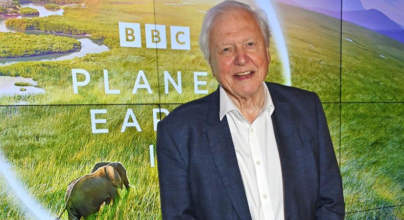 Ettől az egy állattól retteg a 99 éves természetfilmes, Sir David Attenborough