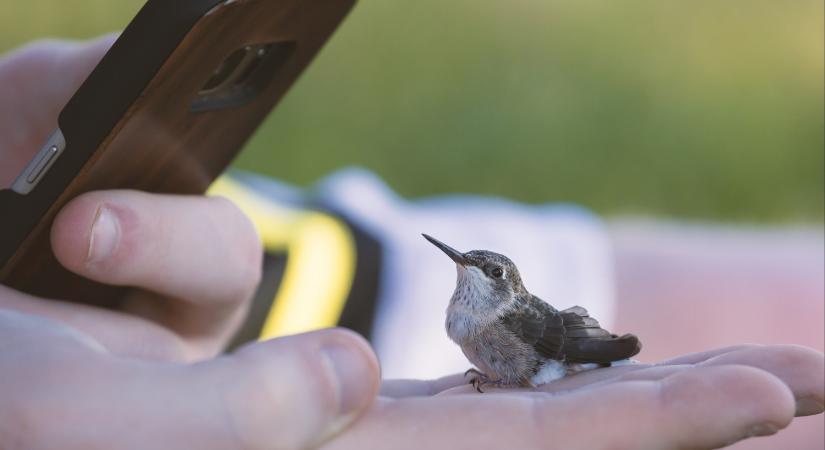 Indul az idei Tavaszi természetles
