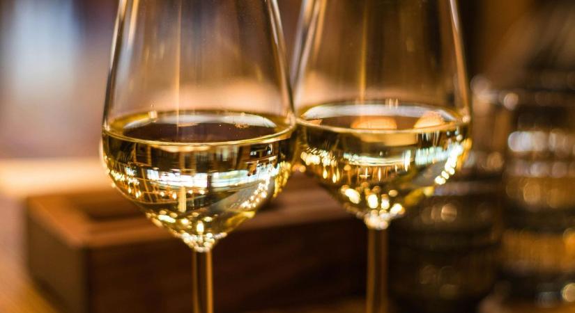 Különleges élményút készül a Velencei-tónál