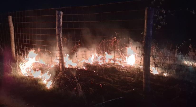 Száraz füves terület kapott lángra Csepregen - fotók