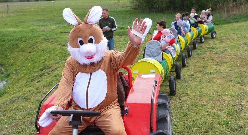 Nyuszivonat indul Debrecenből: kihagyhatatlan húsvéti élményekkel vár a Zsuzsi Erdei Vasút