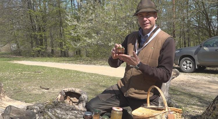 Világelső lett a bükki „ehető erdő”