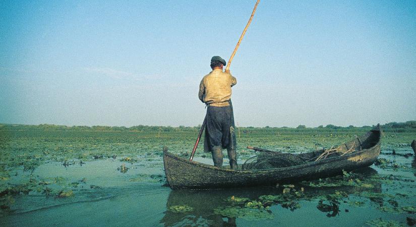 Olyan dolog úszott a Dunában, amire Magyarország nincs felkészülve