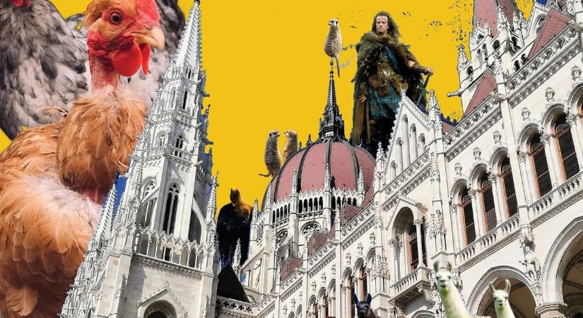 Erősen áthallásos filmekkel készül a választásra a Bem mozi