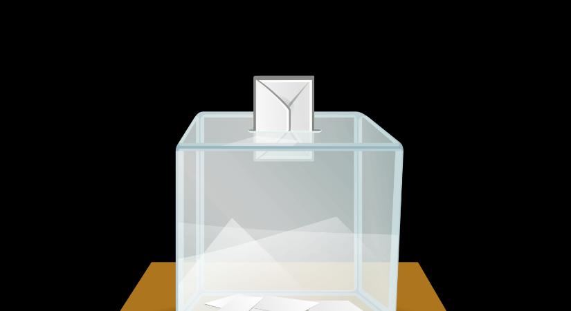 A kórházi ápoltak is szavazhatnak