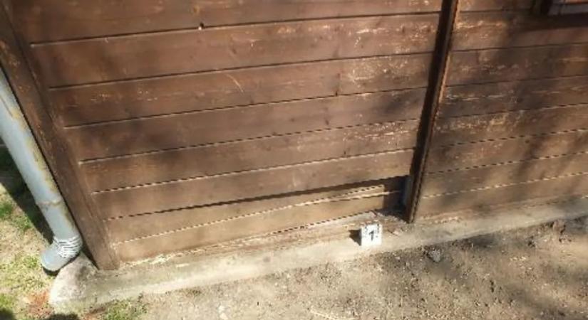 Fiatalokkal végeztette el a piszkos munkát az anya: komoly zsákmányt pakoltak ki a büféből