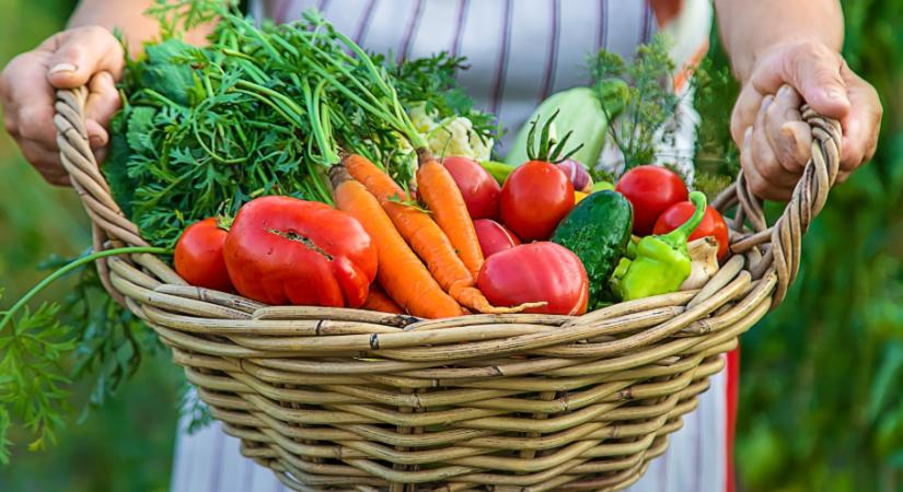 A zöldségeskertek Jolly Jokere a fűszereid között lapul: elősegíti a növekedést, leszámol a kártevőkkel