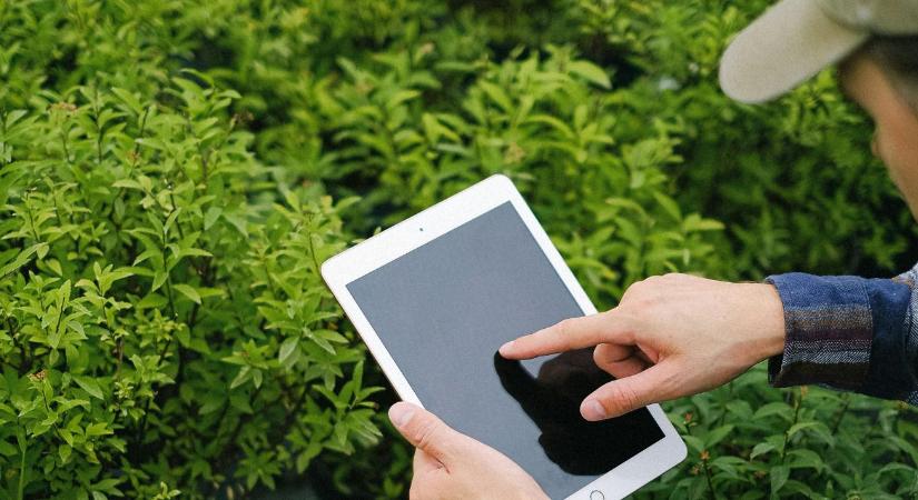 Április 8-án indul a roham: új fotózási kötelezettség vár a gazdákra az egységes kérelemben