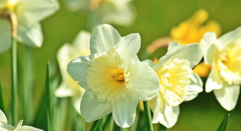 Húsvéti családi programok 2026