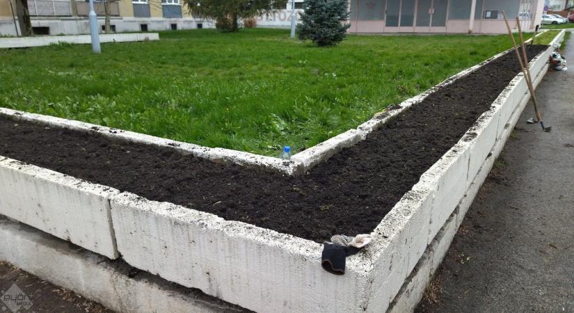 „Aki ültetni akar, annak általában ásnia is kell” – virágot ültettek Győrben az MKKP tagjai