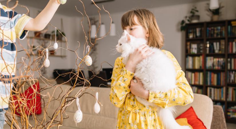 Így készítsd fel cicádat a húsvéti vendégseregre