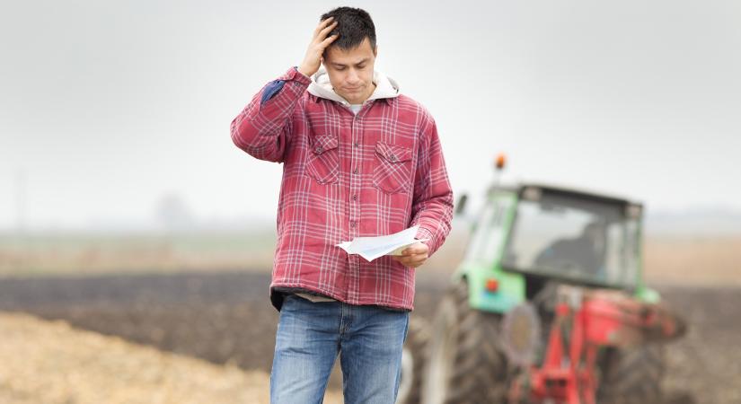Csődök az agráriumban: tragikus anyagi helyzetben a gazdák