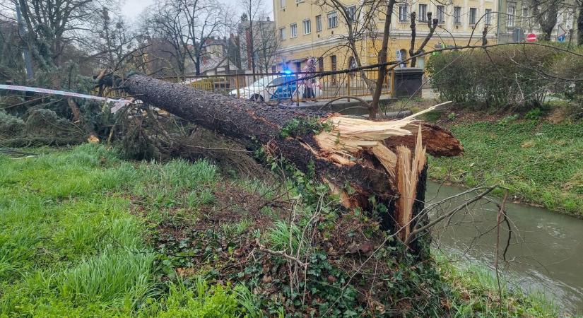 Tombolt a szél, négyszer riasztották viharkár miatt a vasi tűzoltókat