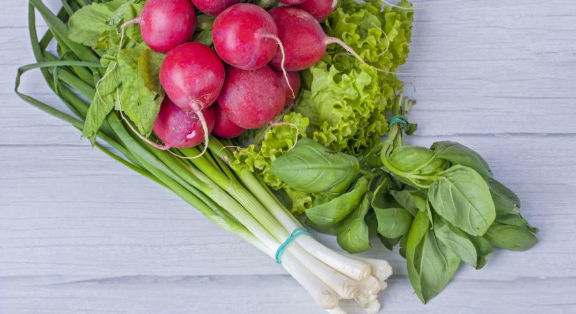 Kiderült az igazság a Magyarországon kapható retekről, újhagymáról