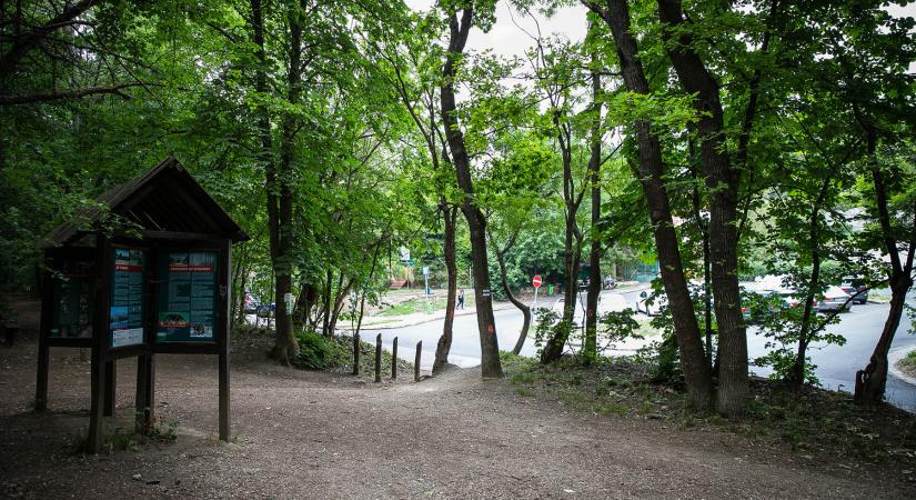 Mérges kígyókra figyelmeztetnek, jól vigyázz, ha erre jársz