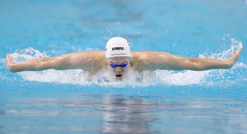 Újra Kós Hubertet választották az év egyetemi úszójának az Egyesült Államokban