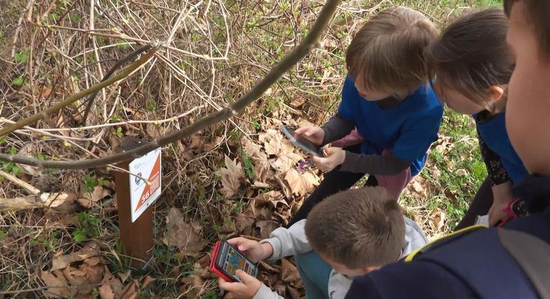 Vetélkedő a városligetben