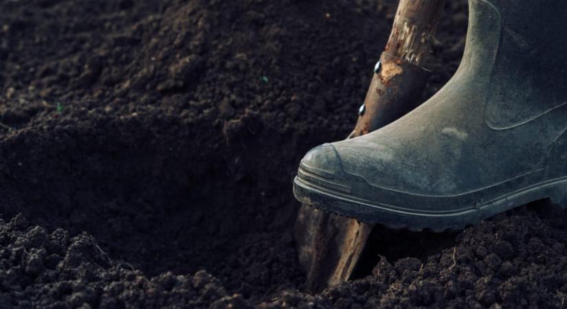 Csákánnyal estek a vezérlőkábelnek a „specialisták”, több órára leállt a vezetékes kőolajszállítás