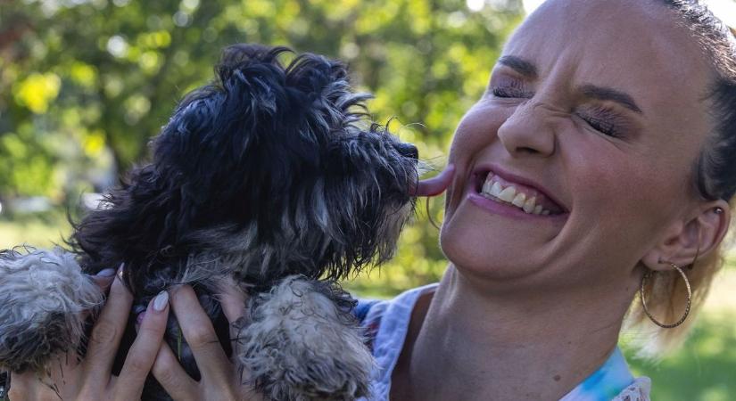 Láthatatlan gyilkos a fűben: egyetlen apró vérszívó is nagy veszélyt jelent