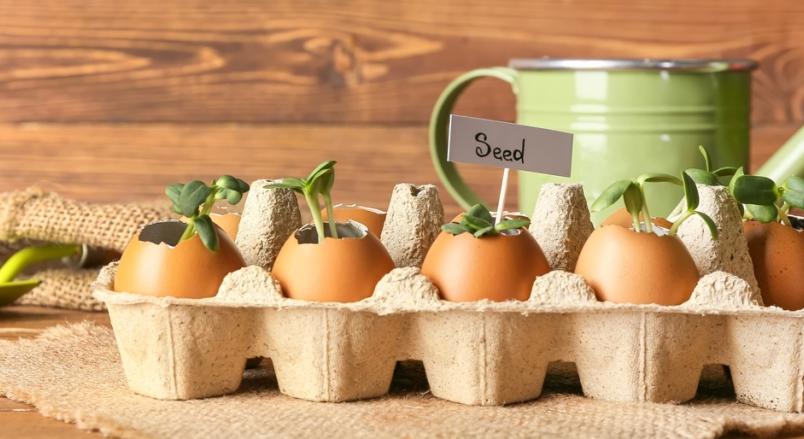 Így dekoráld a kertet húsvétra: mutatunk néhány szuper ötletet hozzá!