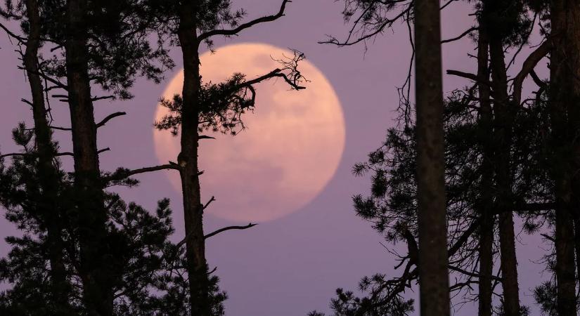 Elképesztő: rózsaszín Hold ragyogta be az áprilisi égboltot