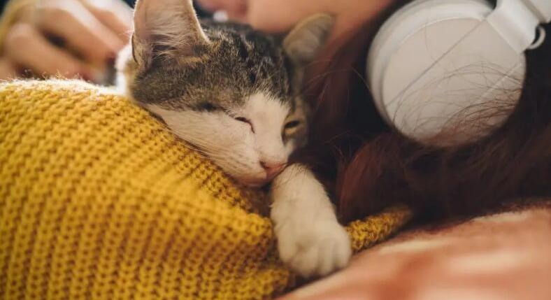 A jó közérzet, ami nem egyik napról a másikra jön