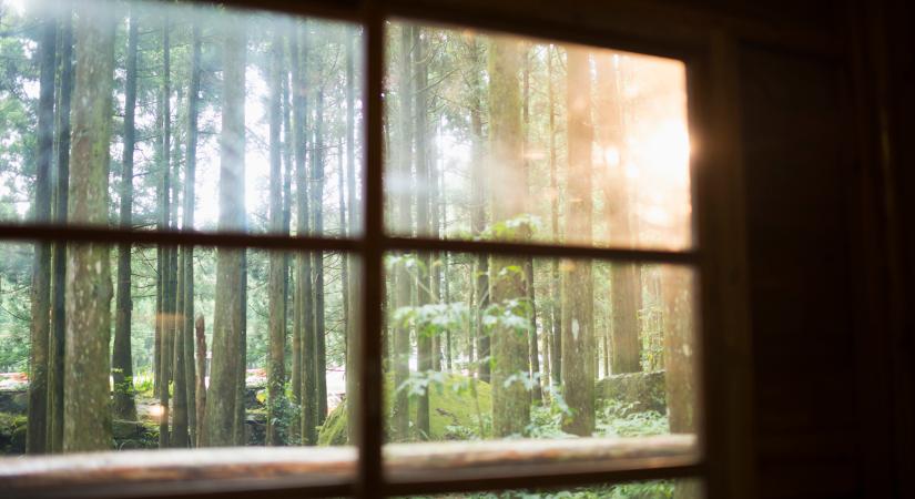 A Bakonyban épített kunyhóban él albérlet helyett Gerzson