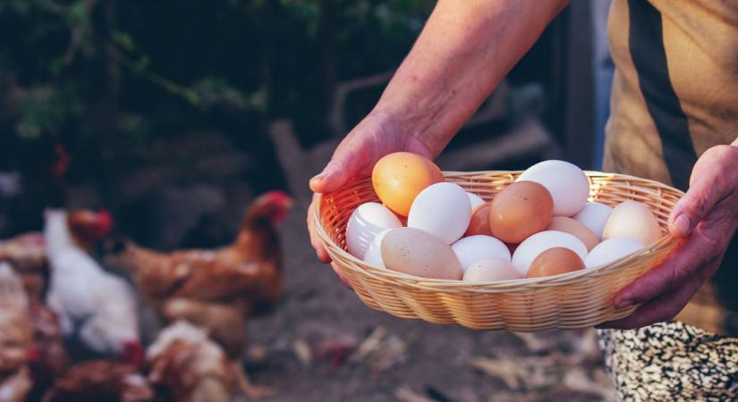 Emberi történetek, sorsok és küldetések