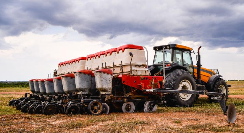 Rengeteg gazda áll át erre a növényre: ezt vetnék a kukorica helyett