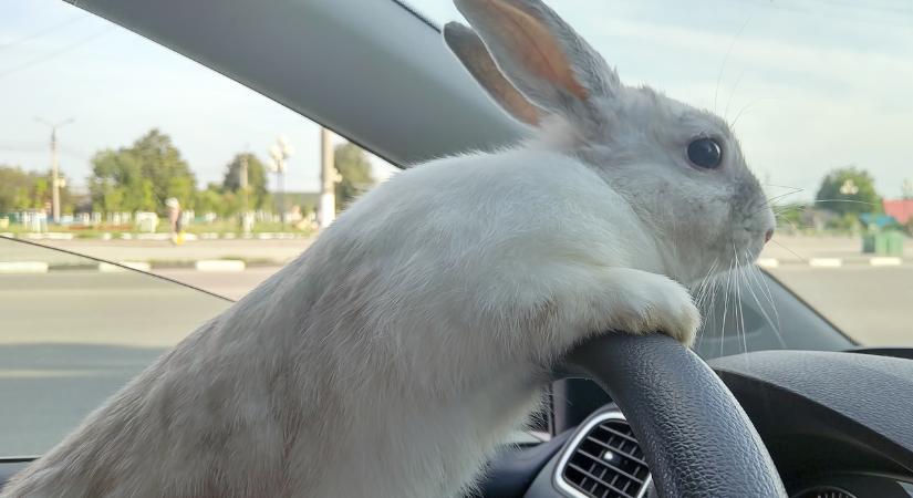 Ingyenes lesz a parkolás húsvétkor