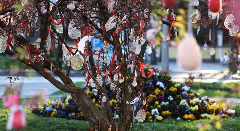 Mesébe illő lett Kiskunhalas, gyönyörű húsvéti tojásfák lepték el a várost – fotók