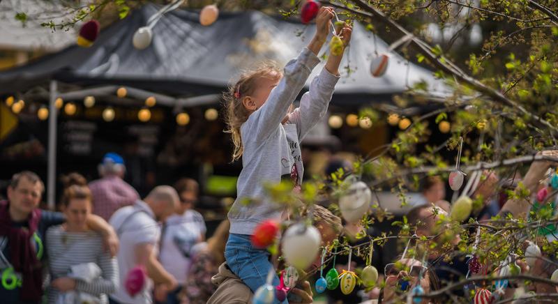 Négynapos nyuladalom Siófokon