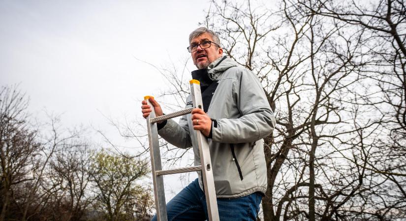 Hadházy Ákos újabb fotókat posztolt, szerinte beteges, hogy a hatvanpusztai Orbán-birtokon Szent Mihály szobrát tették a könyvtár kandallójára