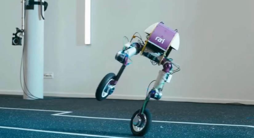 Lép és gurul a rémálmok robotja, amit tényleg nem szeretnénk, hogy ellenségnek nézzen