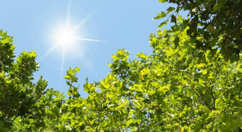 Tavaszias idő várható a húsvéti hosszú hétvégén