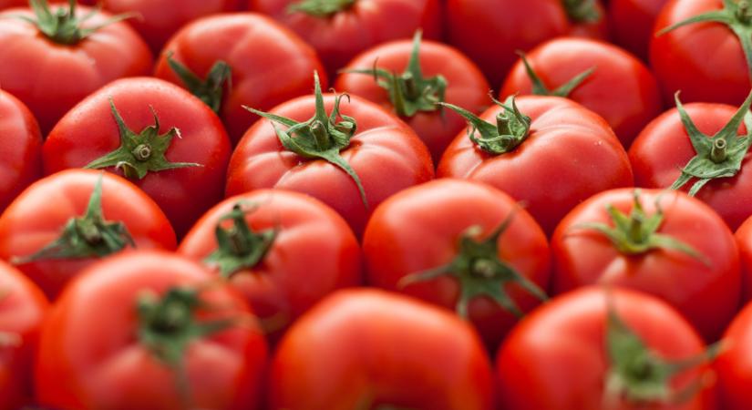 Durva, milyen drága lett a paradicsom sok piacon: itt már ennyiért árulják