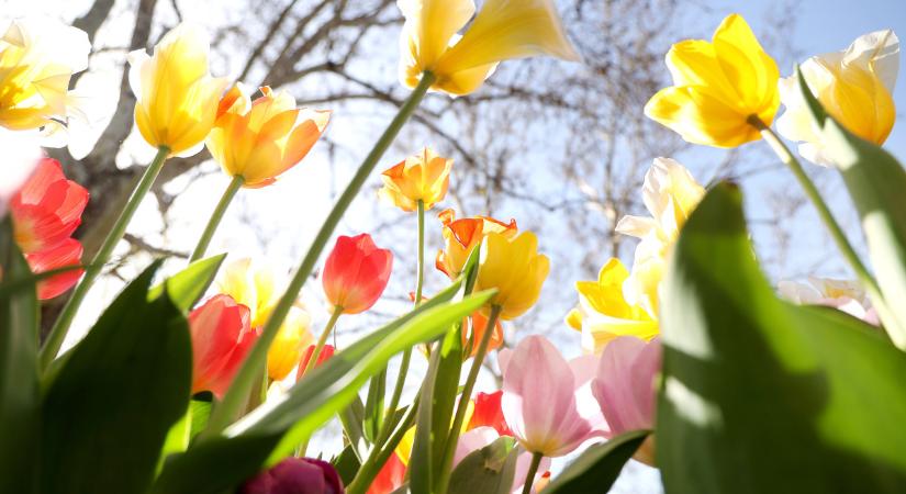 Friss előrejelzés: ilyen időnk lesz a húsvét hosszú hétvégén