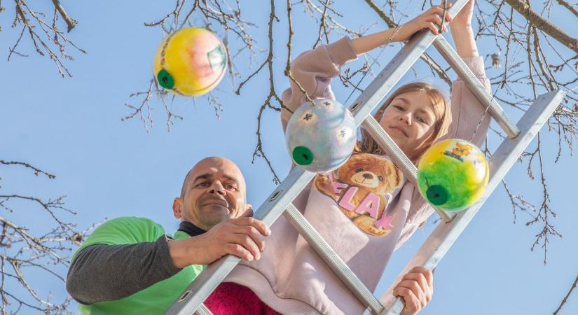 Mire kisütött a nap, színes tojások lepték el az állatkert húsvéti tojásfáját (galéria, videó)
