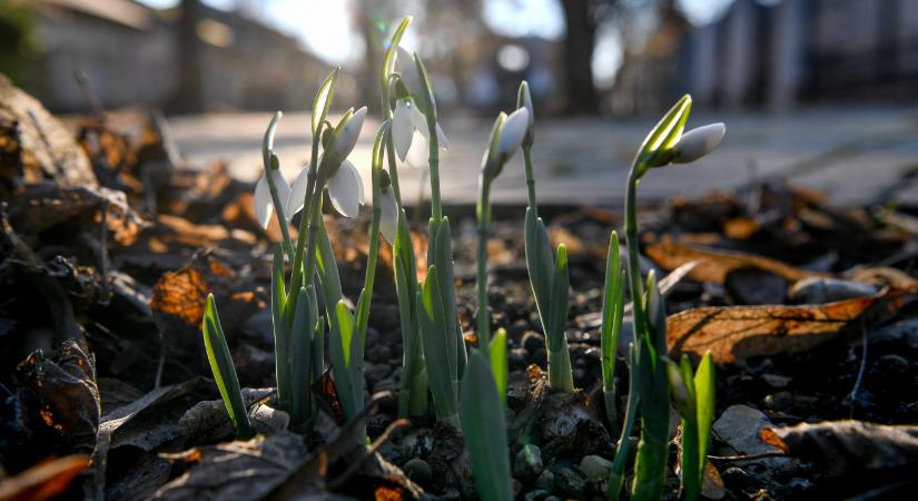 Tavaszias, napos idő várható a húsvéti hosszú hétvégén