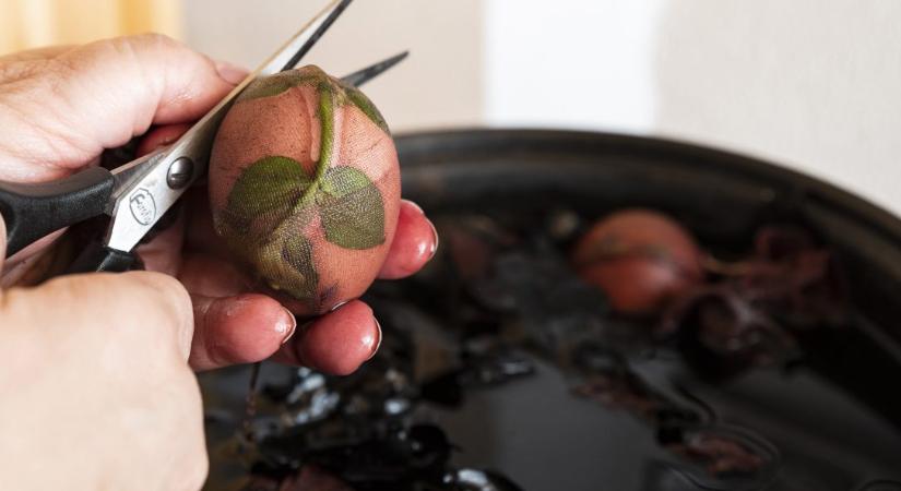 Húsvéti Nyuladalom Siófokon