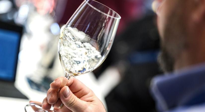 Lehet nevezni a 45. Országos Borversenyre