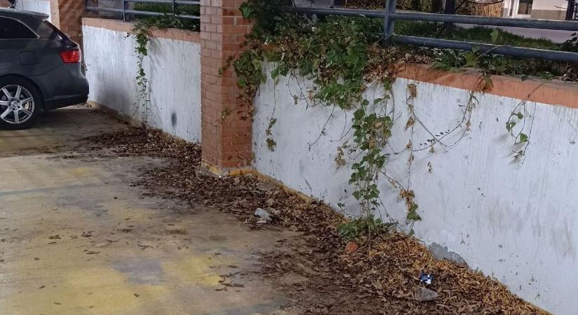 „Hajléktalanok tanyája, szeméttelep..." Egymásnak feszültek a belvárosi parkoló miatt – kié a felelősség a Kontrássy közben?