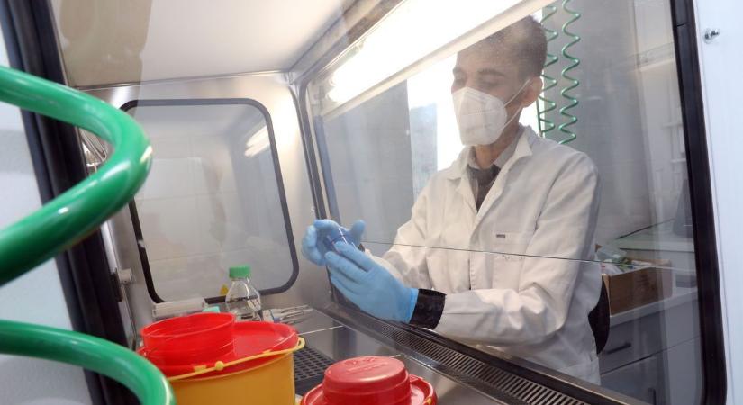 Tömegesen hánytak, kaotikus jelenetek: egymás után rohantak a vécére a diákok a kaposfüredi iskolában