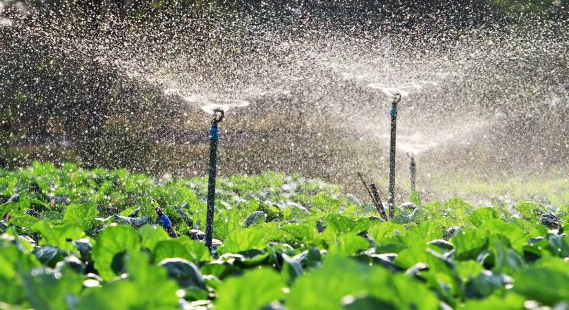 Áttörés az öntözésben: száz háromszéki gazda földjein nyílnak meg a vízcsapok