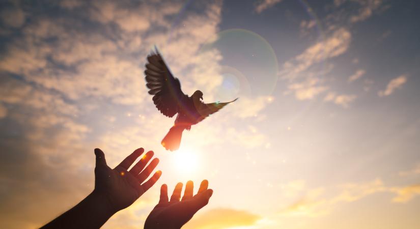 Napi horoszkóp 2026. április 3: békében telik a Nagypéntek