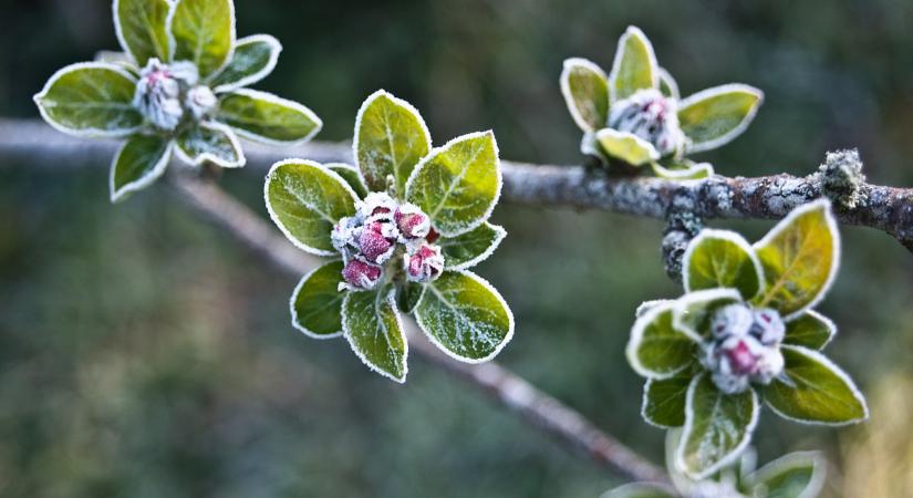 Nincs vége a télnek? Visszatér a fagy Magyarországra