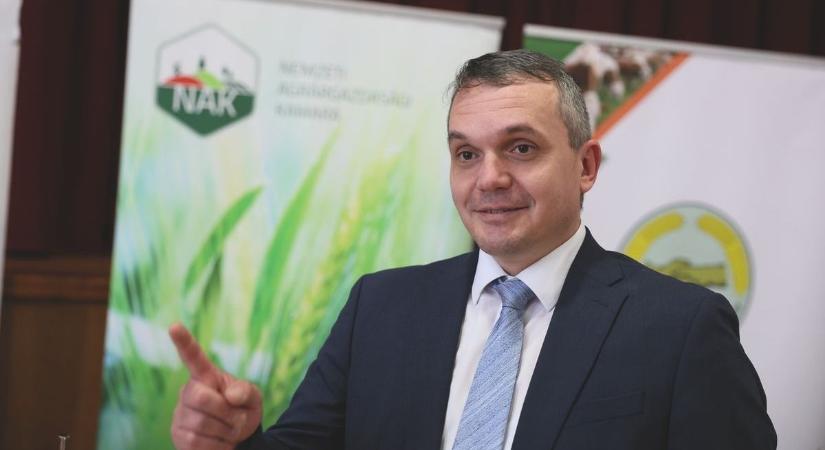 Hiába próbálkozik a Tisza Párt, újabb jogerős ítéletben döntött Papp Zsolt javára a legfelsőbb bírói fórum